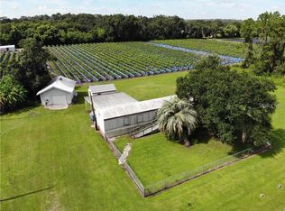 5221 Paul Myers Ln, Dover, FL 33527