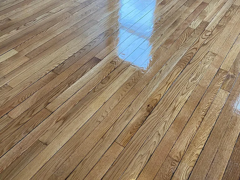 61 Forest St #1 — Photo 11