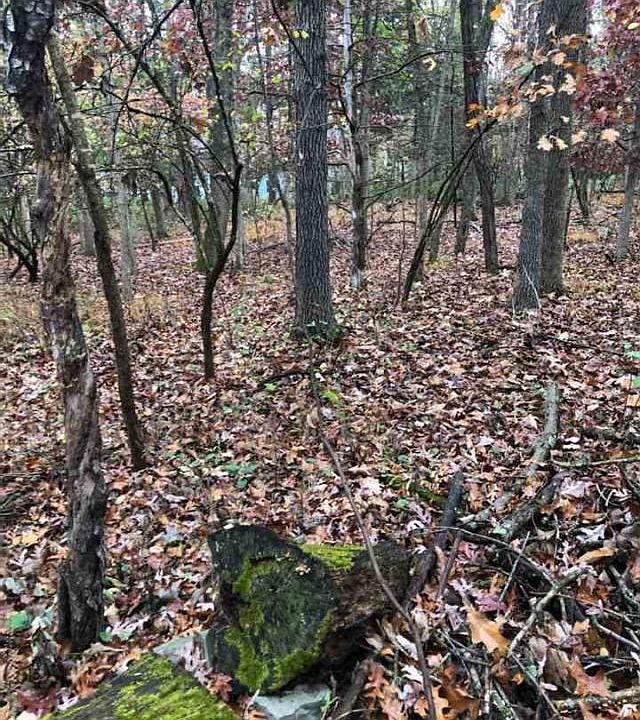 1st image of 945 Oak Dr