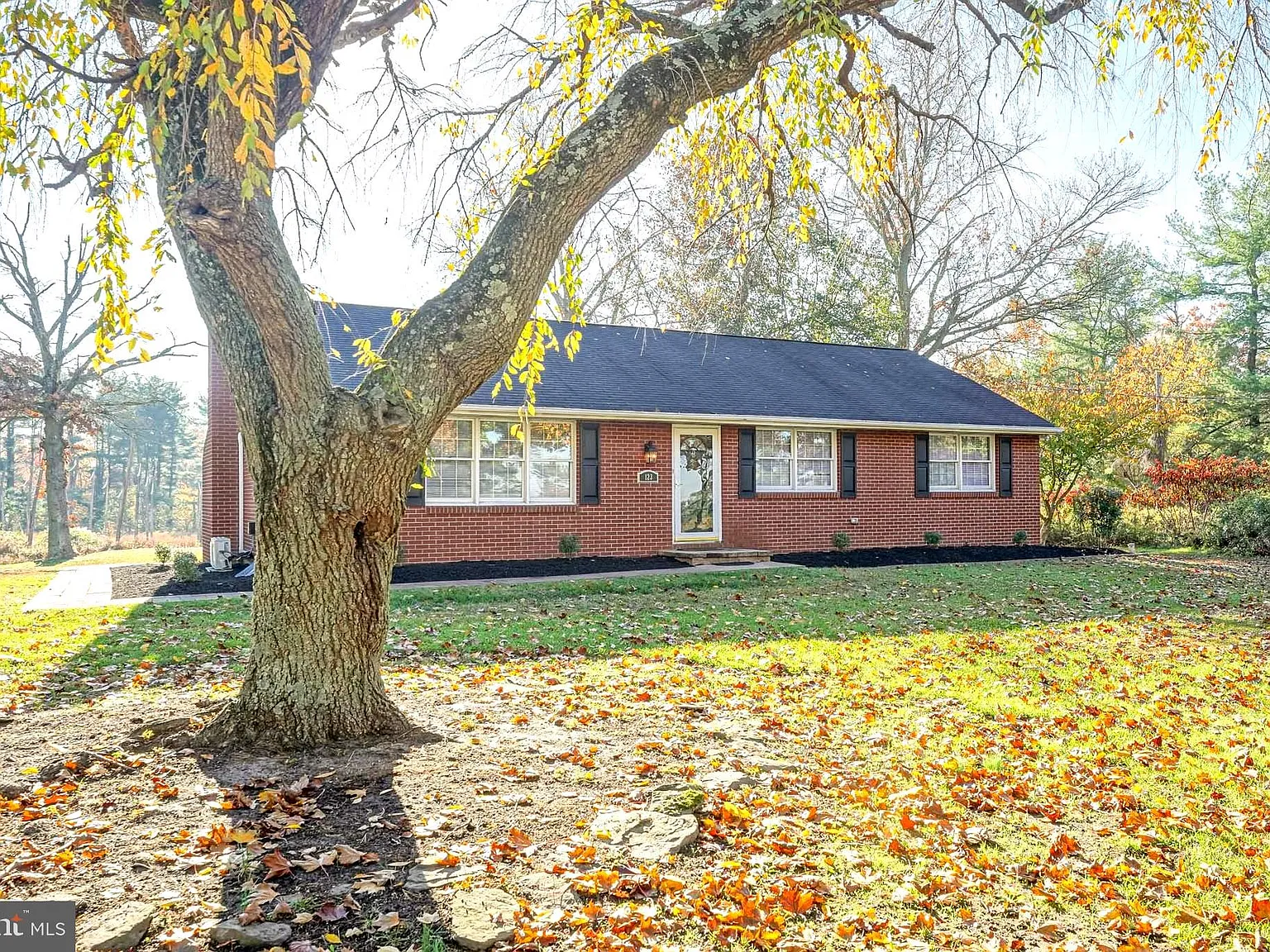 3 bed, 1479 sqft, $2,950 — Photo 2