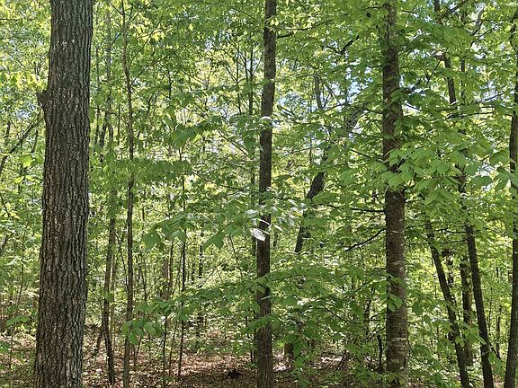 4th image of 523 Flat Shoals Rd