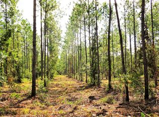 9085 Mc Clelland Rd, Jacksonville, FL 32234