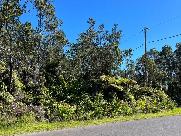 Liona St Lot 53-B-246, Volcano, HI 96785