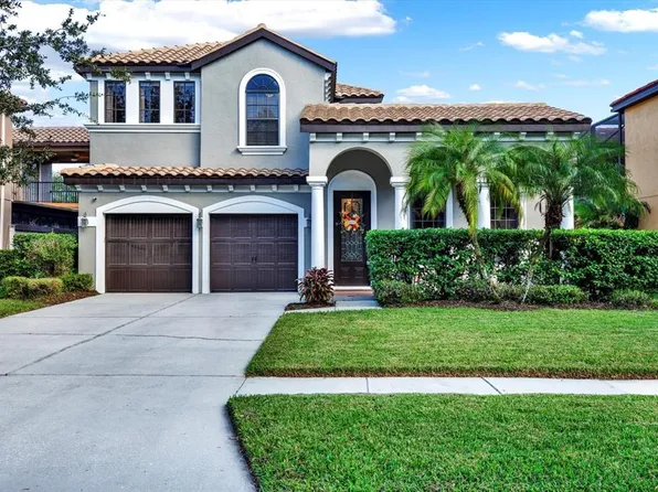 20345 Chestnut Grove Dr, Tampa, FL 33647