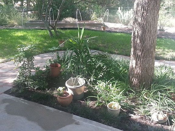 Patio Area