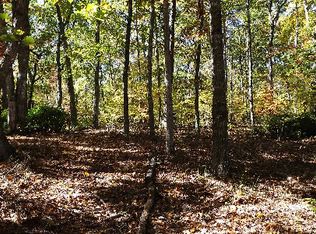 14.5 Hightop Mountain Est, Morganton, GA 30560