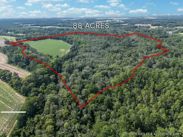 New Bethel Rd, Jesup, GA 31545