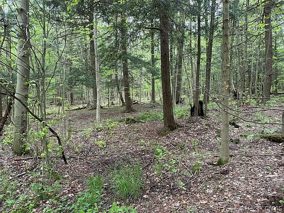 5th image of Kellogg Hill Rd