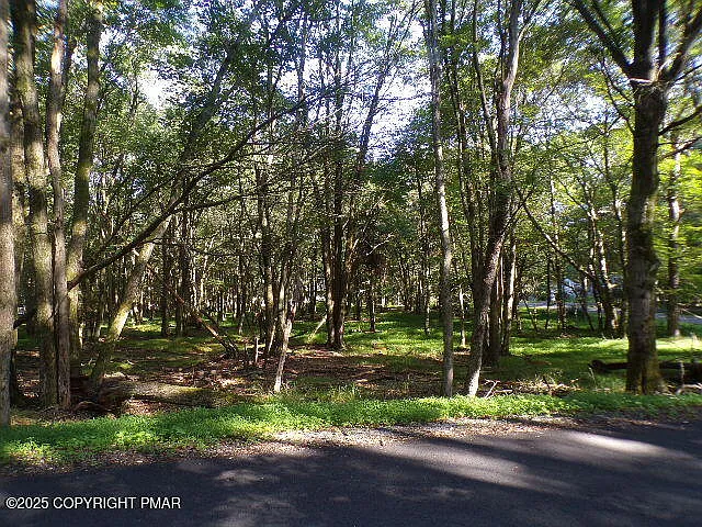 LOT-709A Wintergreen Trl photo 1