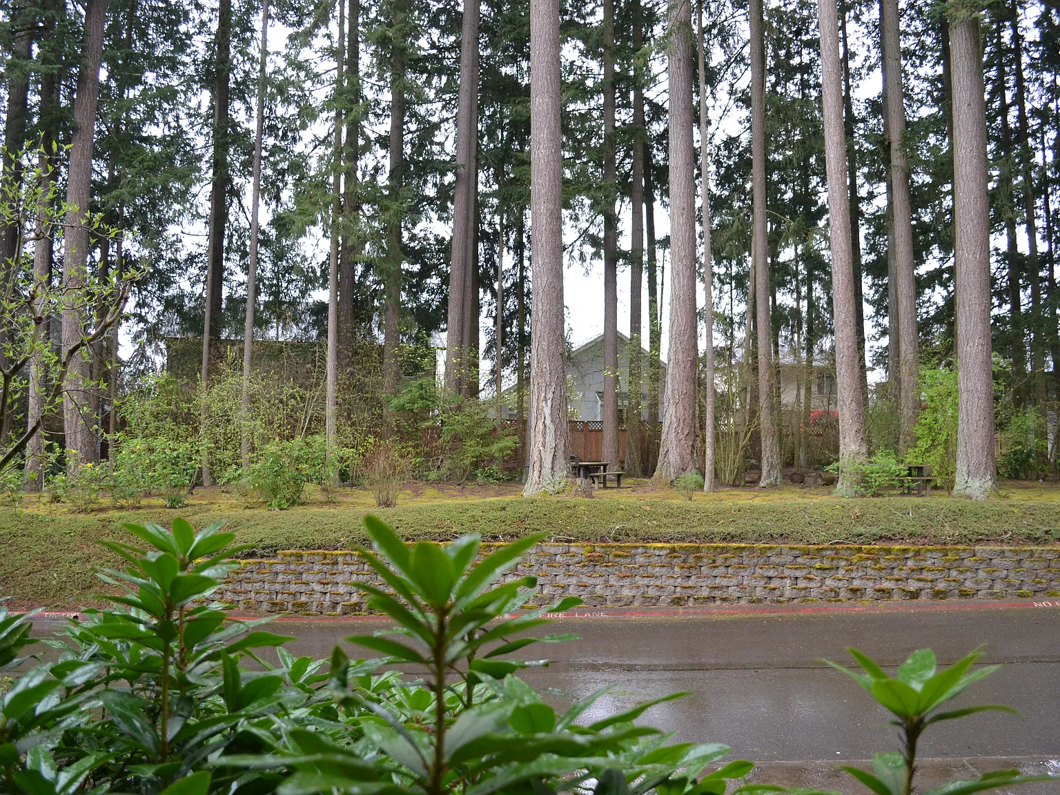 2057 NE 50th Way — Photo 4