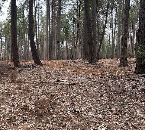 5th image of Bearfoot Rd