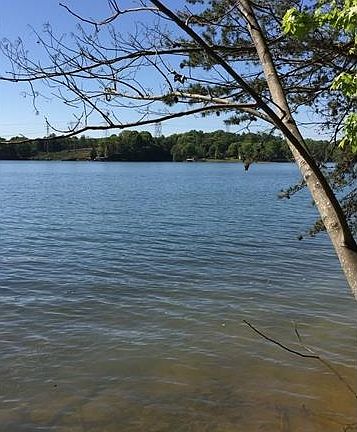 2nd image of 2701 Mount Isle Harbor Dr