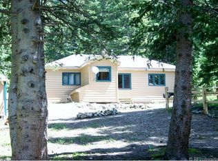 845 Brook Dr, Idaho Springs, CO 80452