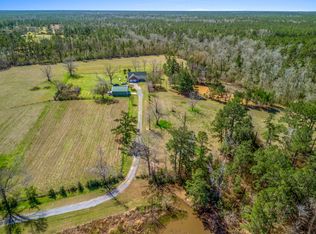 1466 Baldwin Loop, Longville, LA 70652