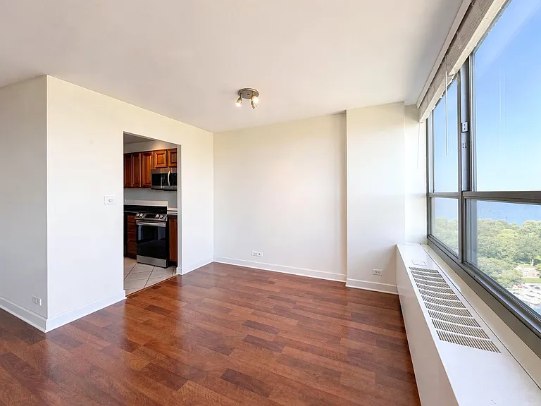 3550 N Lake Shore Dr #1806 — Photo 19