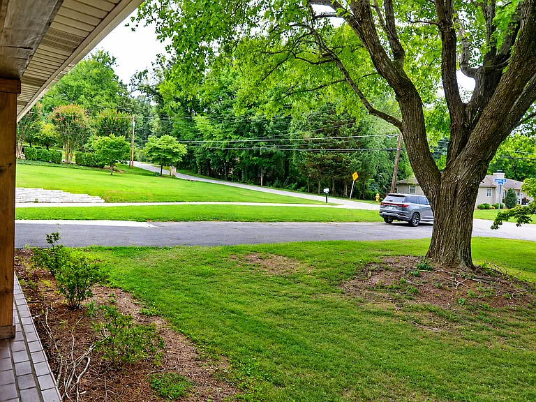 10936 Thornton Dr — Photo 3