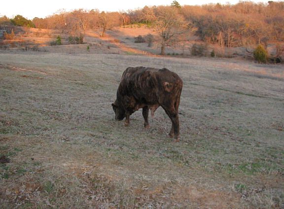 2nd image of 840 An County Road 410