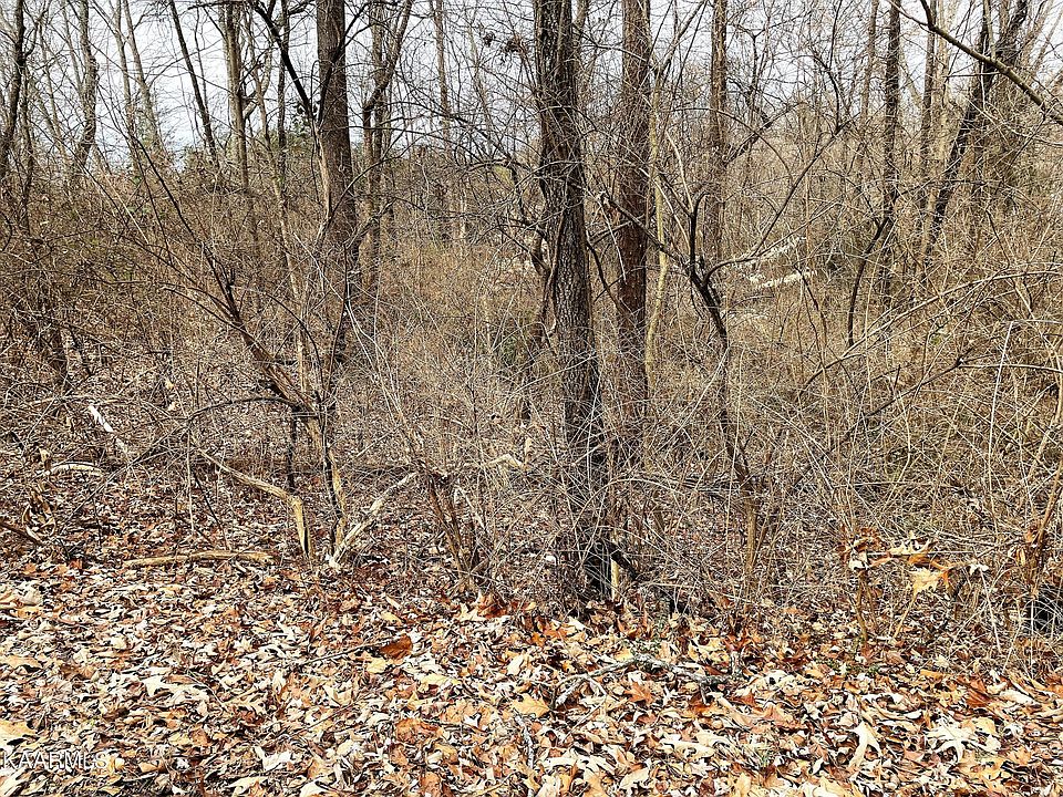 2nd image of Sherwood Dr