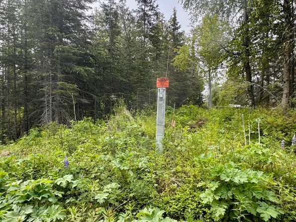 Nhn Mark Blvd, Kenai, AK 99611