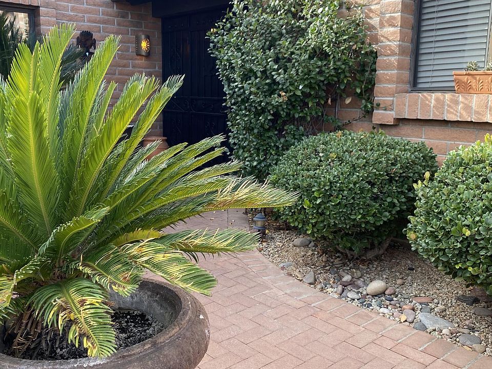 2nd image of 3627 S Via De La Gaviota