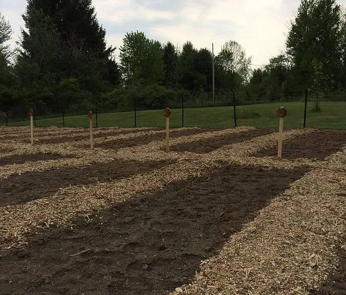 Community garden