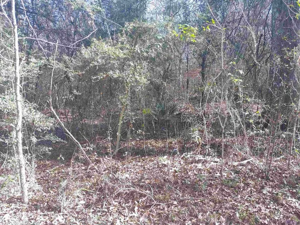 Washington Ln, Greenwell Springs, LA 70739