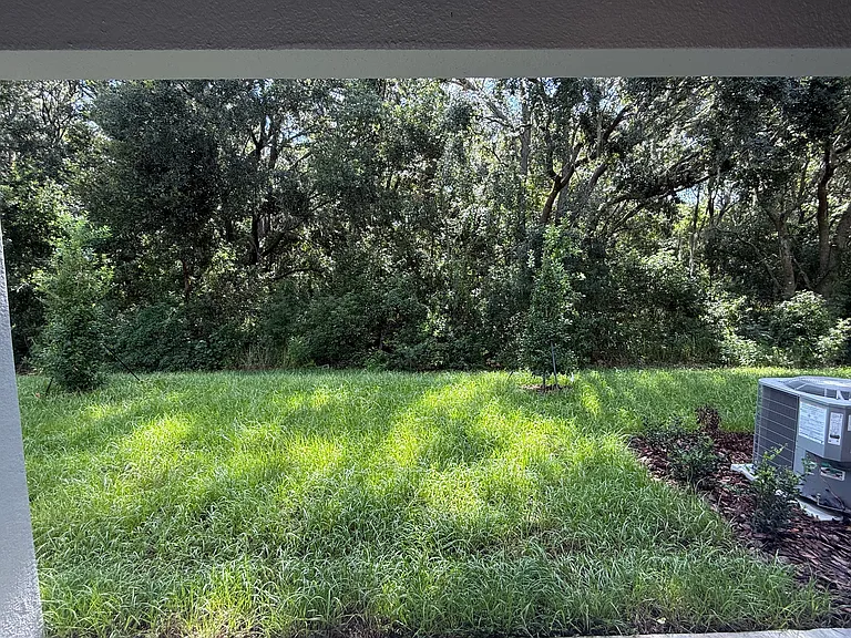 10142 Trumpet Honeysuckle Way — Photo 41