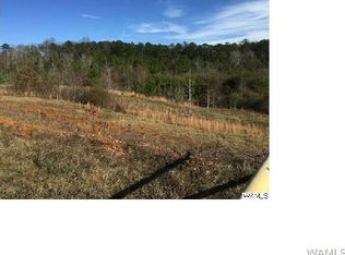 7290 Charlie Shirley Rd, Northport, AL 35473