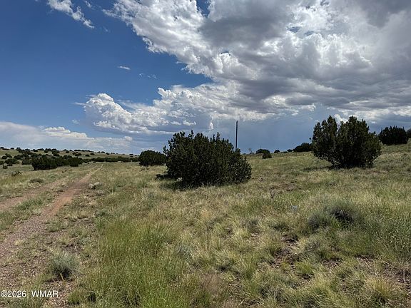 4th image of 168 County Road 5201