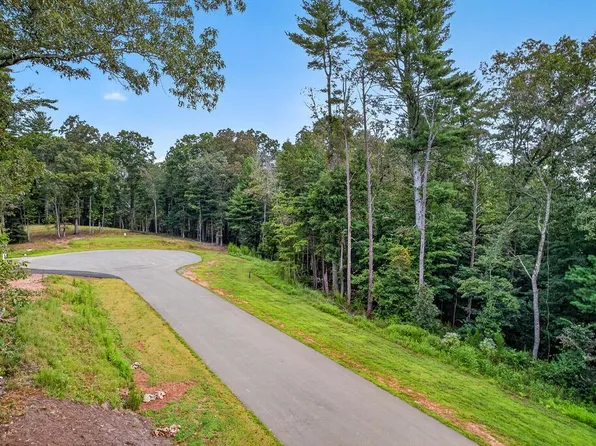14 Clear Creek Trl, Ellijay, GA 30536