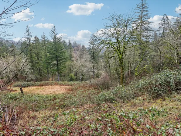 205 NE 353rd Avenue, Washougal, WA 98671