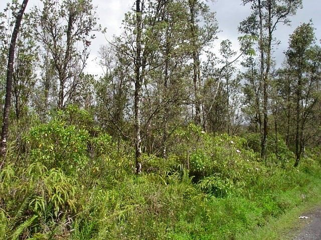2nd image of 39th Ave Lot 74