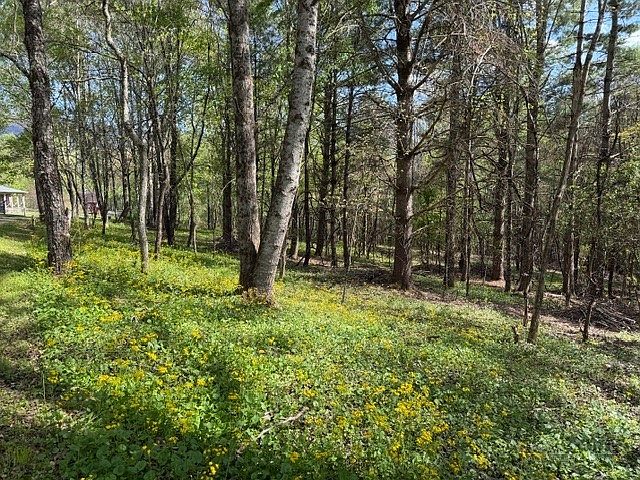 1st image of TBD (1 acre) Crestview Drive West