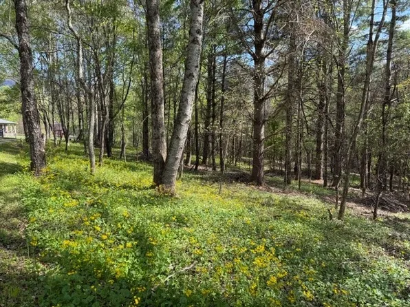 TBD (1 acre) Crestview Drive West, Creston, NC 28615