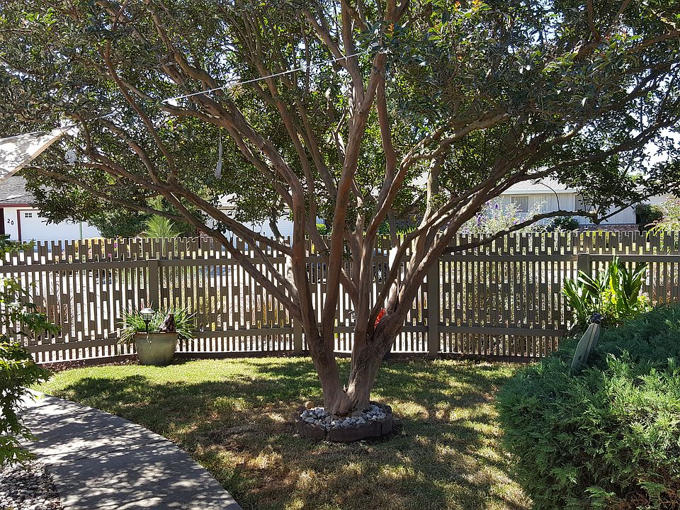 Within courtyard