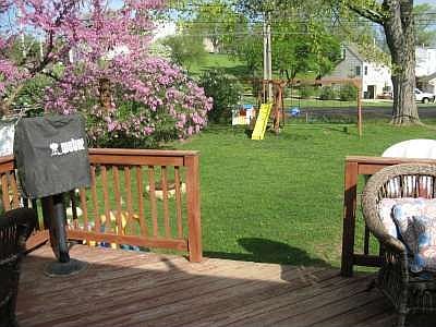 Backyard, lilac trees