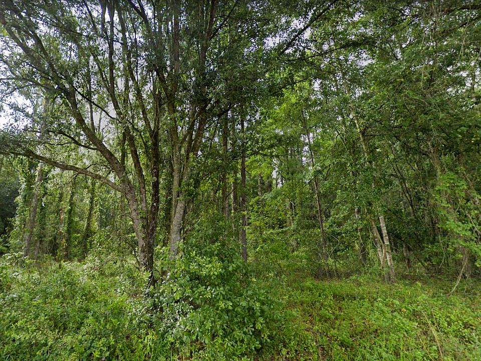 0 SW Wabasso Ter, Greenville, FL 32331 MLS 357478 Zillow