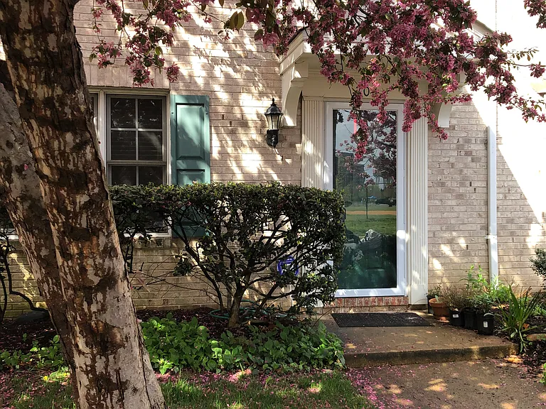 Lovely spring flowers of the crab apple and cherry trees out front (dated photo)