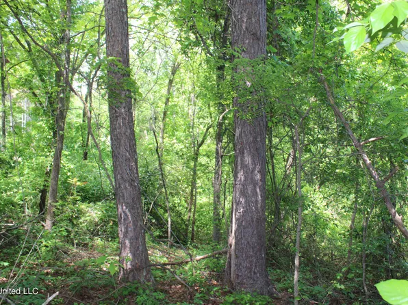 1800 Highway 4 E, Ashland, MS 38603