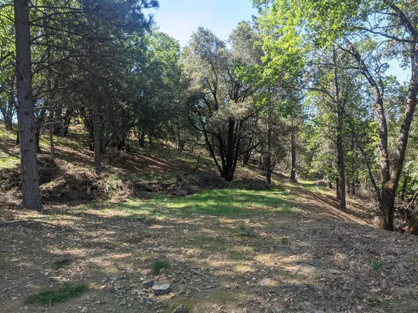 3 Eden Forest Dr, Colfax, CA 95713