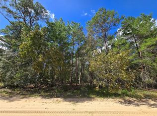 Selma Avenue Lot #28, Interlachen, FL 32148