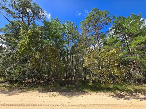 Selma Avenue Lot #28, Interlachen, FL 32148