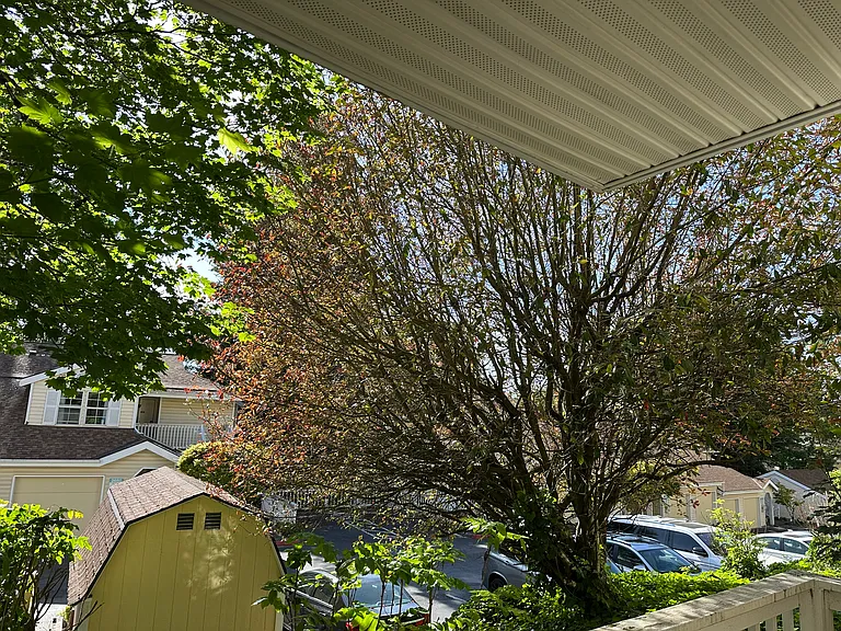 2540 118th Ave SE — Photo 19