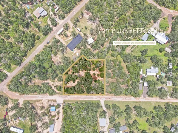 790 Blueberry Hill Rd, Somerville, TX 77879