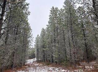 PARCEL 13 Band Mill Rd, Orofino, ID 83544