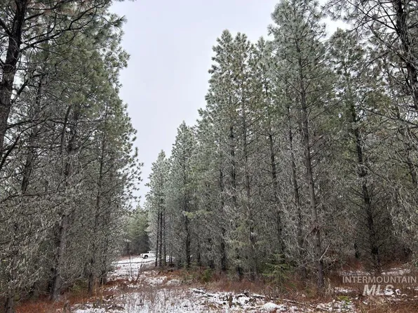 PARCEL 13 Band Mill Rd, Orofino, ID 83544