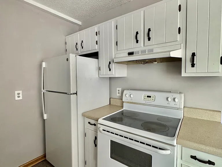 8780 Millard Lee Ln #8782 — Photo 12