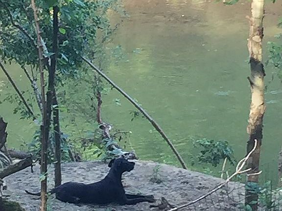 Riverfront 1+ acre on Cahaba