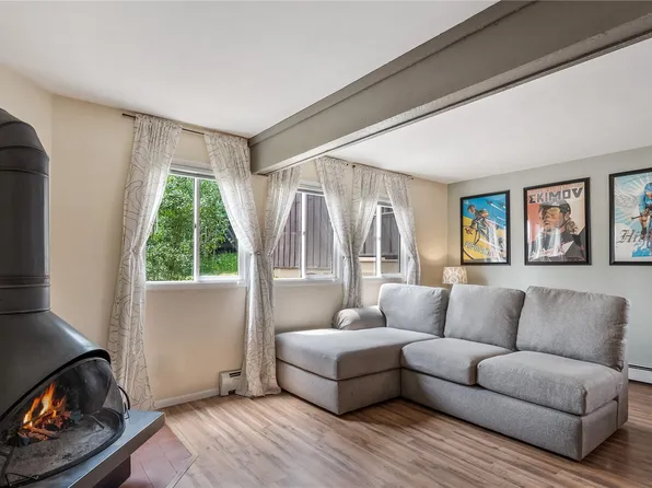 401 Salt Lick Cir #402, Silverthorne, CO 80498