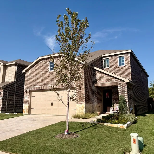 337 Glenwick Ln